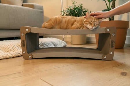 Rascador INFINITO grande