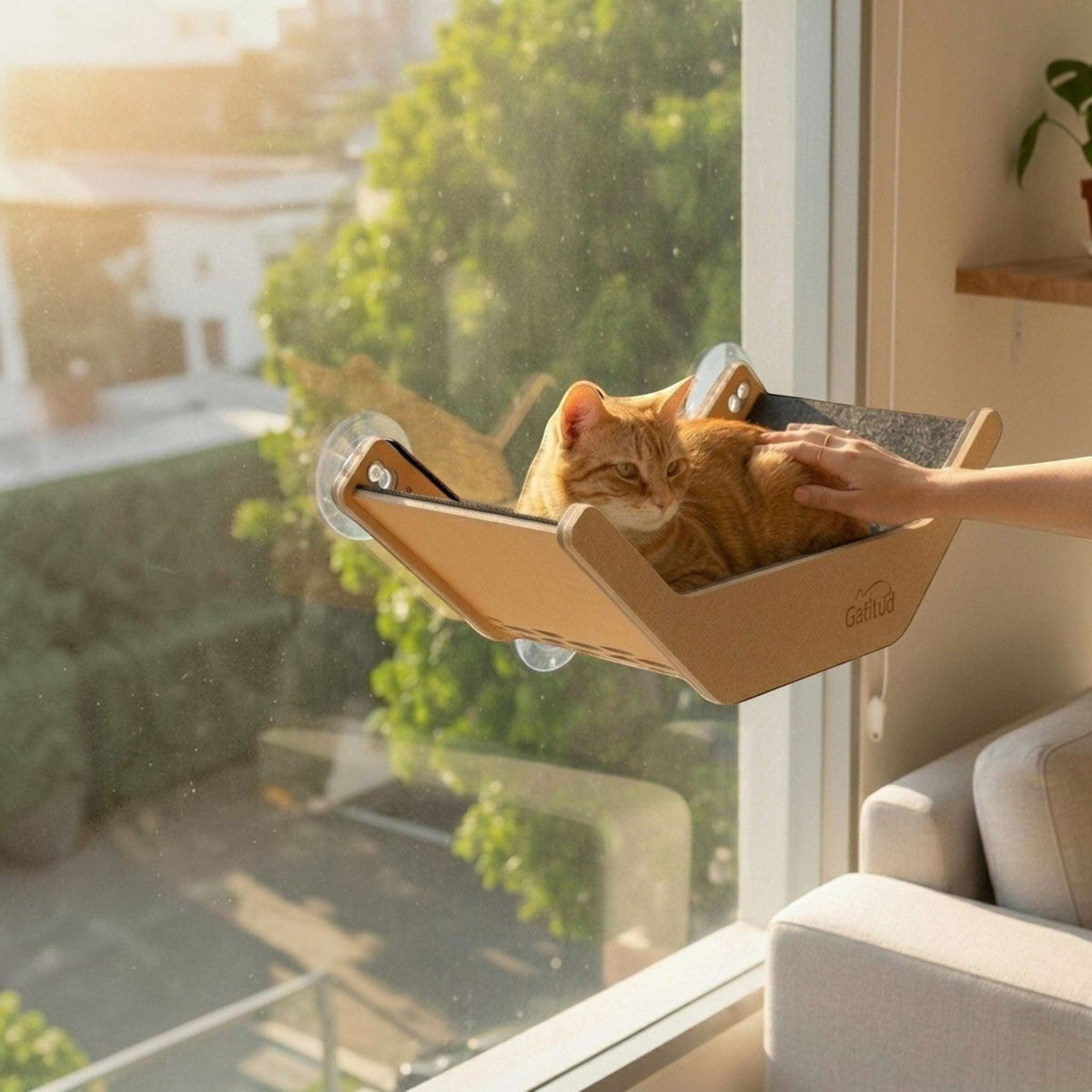 Gato naranja descansando en la cama hamaca en V de Gatitud Store fijada a una ventana con ventosas