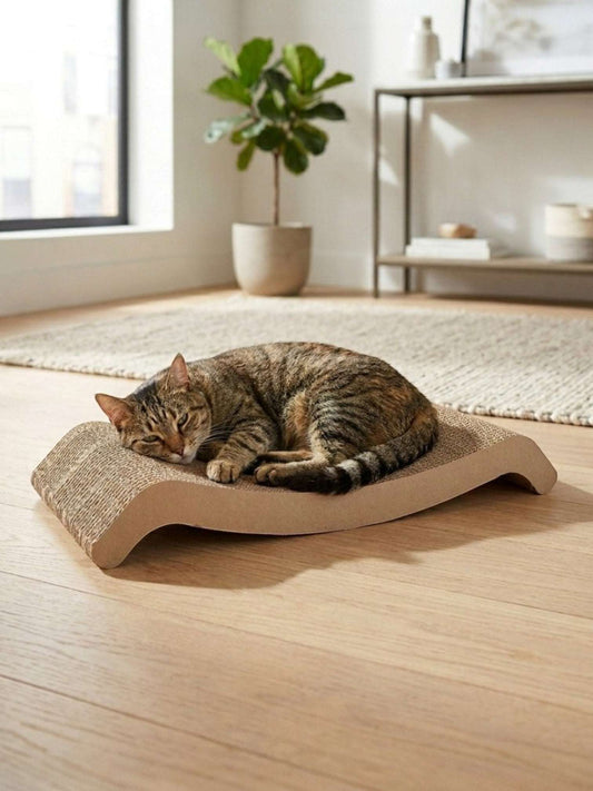 Gatitud Store brown corrugated cardboard cat scratcher lounger with curved design, a tabby cat resting on it.
