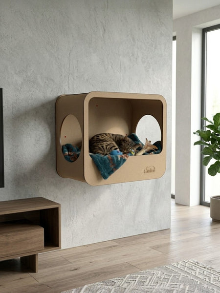 Gatitud Store modern rectangular cardboard cat wall perch with two circular openings, featuring a tabby cat sleeping on a blue blanket.