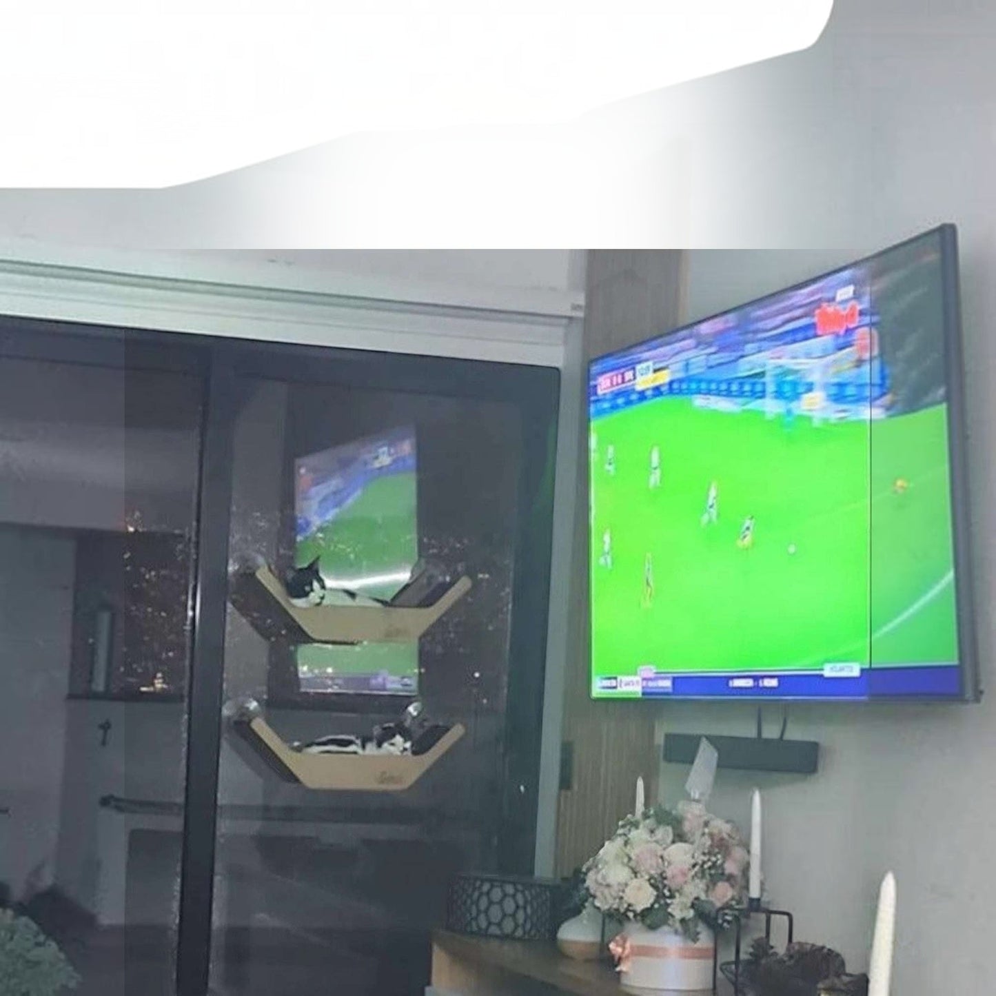 Cama V Hamaca para Gatos — Fijación a Pared o Vidrio — Cama | Gatitud Colombia