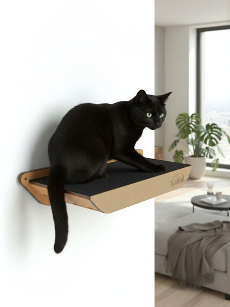Gatitud Store modern wall-mounted cat perch made of natural wood with black felt surface. A black cat sits on the shelf.