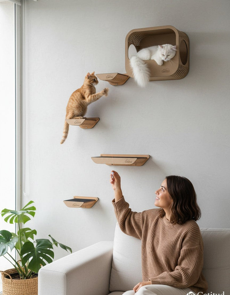 Gatitud Store wall-mounted cat gym with wooden MDF shelves and a cube hideaway, natural wood color