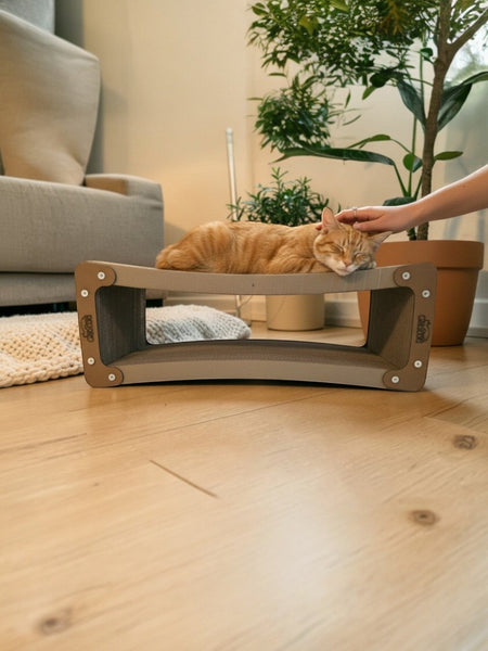 Gatitud Store curved beige corrugated cardboard cat scratcher lounge with an orange tabby cat resting on top.