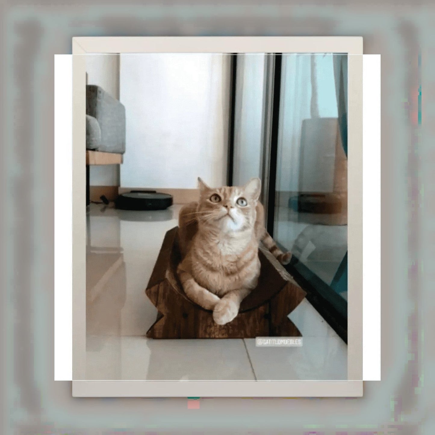 Rascador Cuenca x2 para Gatos — Cartón Corrugado Colombia — Ecológico | Gatitud Colombia