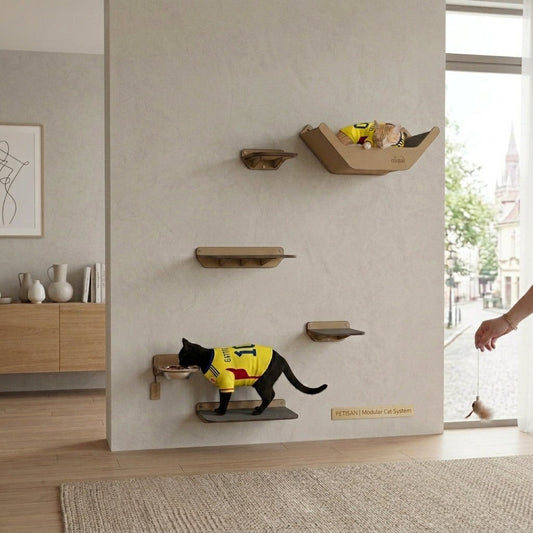 Gimnasio de pared Gatitud Store con plataformas de madera, comedero y hamaca para gatos en un salón moderno.