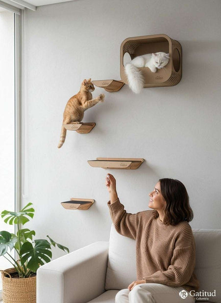 Gatitud Store modern wall-mounted cat shelves and condo made of eco-friendly cardboard. Two cats interact on the shelves.