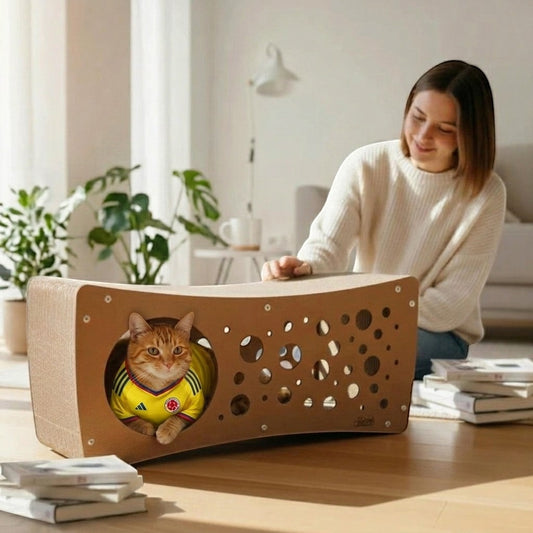 Gato con camiseta de Colombia dentro de un rascador cueva de cartón Gatitud Store en una sala luminosa.