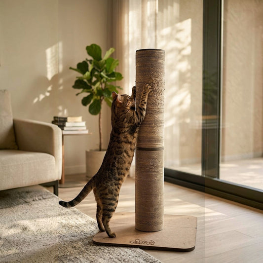 Rascador TORRE Un Cuerpo Redonda para Gatos — Cartón Corrugado — Cartón | Gatitud Colombia