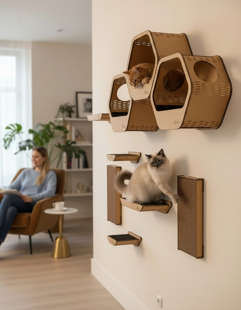 Gatitud Store wall-mounted cat gym with honeycomb shelves, perches, and scratching posts. Made of MDF.