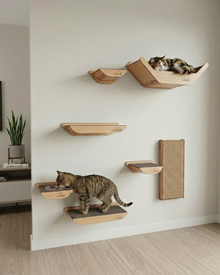 Gatitud Store wall-mounted cat gym with wooden shelves, scratching post, and feeding station. Features two cats enjoying the structure.