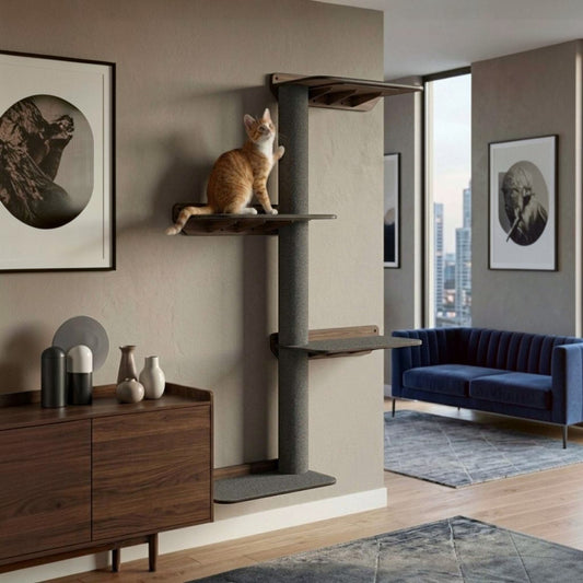 Gimnasio para Gatos de Pared COMBO F — Madera MDF Colombia — Mdf | Gatitud Colombia