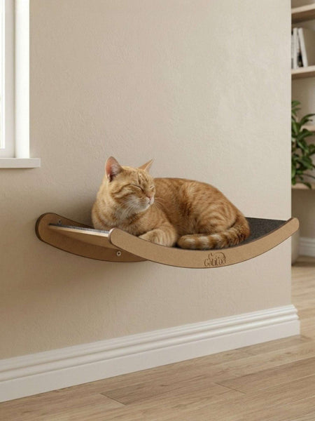 Gatitud Store wall-mounted cat perch with curved wood design and grey textured surface, featuring an orange tabby cat resting.