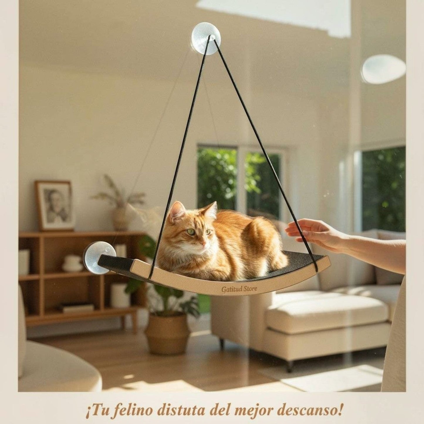 Cama Hamaca Grande para Gatos — Fijación a Vidrio Ventana — Resistente | Gatitud Colombia