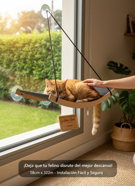 Gatitud Store window mounted cat hammock with grey fabric and wood frame, featuring an orange tabby cat sleeping peacefully.