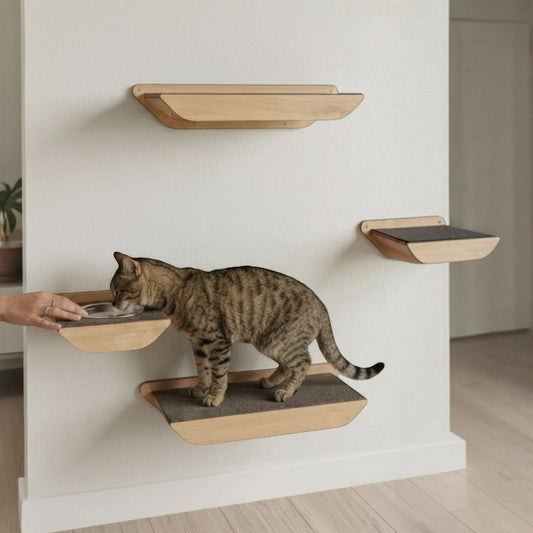 Comedero de Pared Individual para Gatos — Madera MDF Colombia — Mdf | Gatitud Colombia