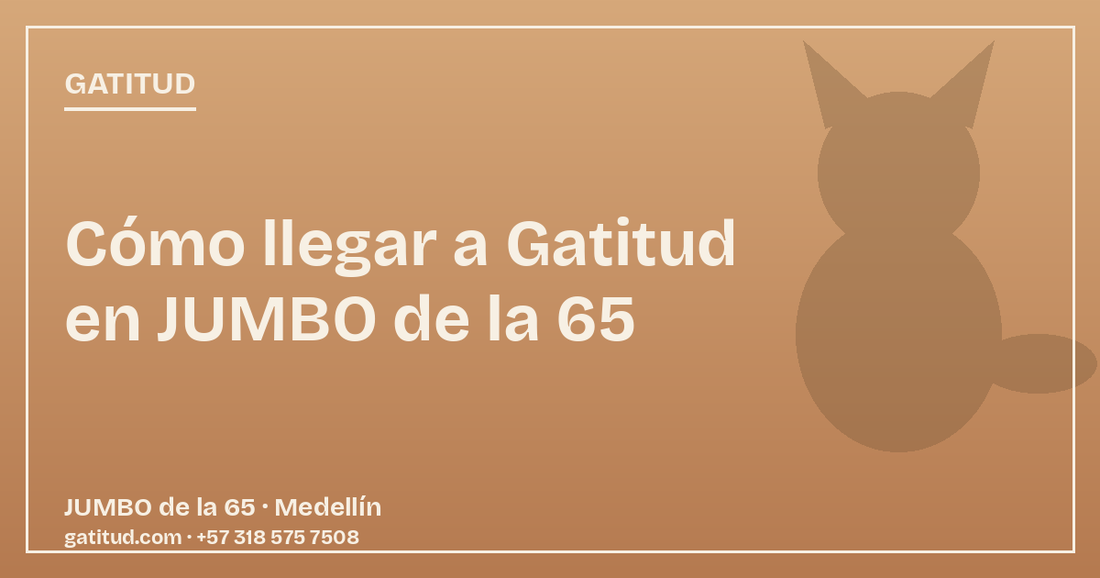 Cómo llegar a Gatitud: guía rápida para encontrar nuestro local en JUMBO de la 65