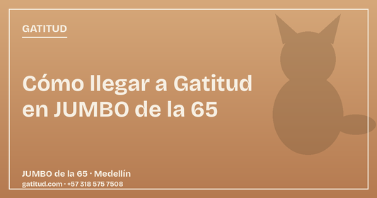 Cómo llegar a Gatitud: guía rápida para encontrar nuestro local en JUMBO de la 65