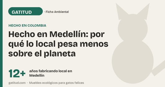 Hecho en Medellín: por qué lo local pesa menos sobre el planeta