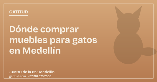 Dónde comprar muebles para gatos en Medellín: visítanos en JUMBO de la 65