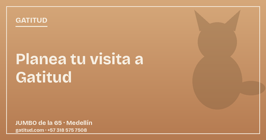 Gatitud en el JUMBO de la 65: muebles ecológicos para gatos hechos en Colombia