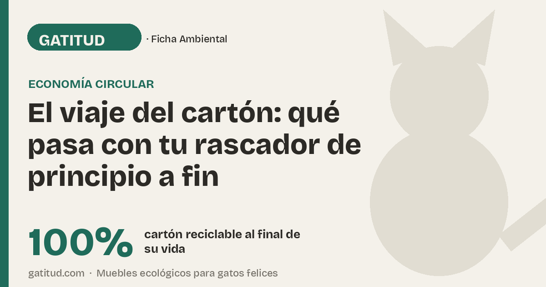 El viaje del cartón: qué pasa con tu rascador de principio a fin