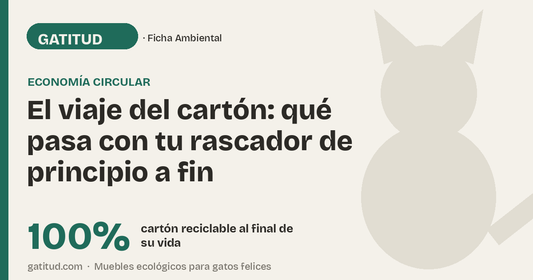 El viaje del cartón: qué pasa con tu rascador de principio a fin