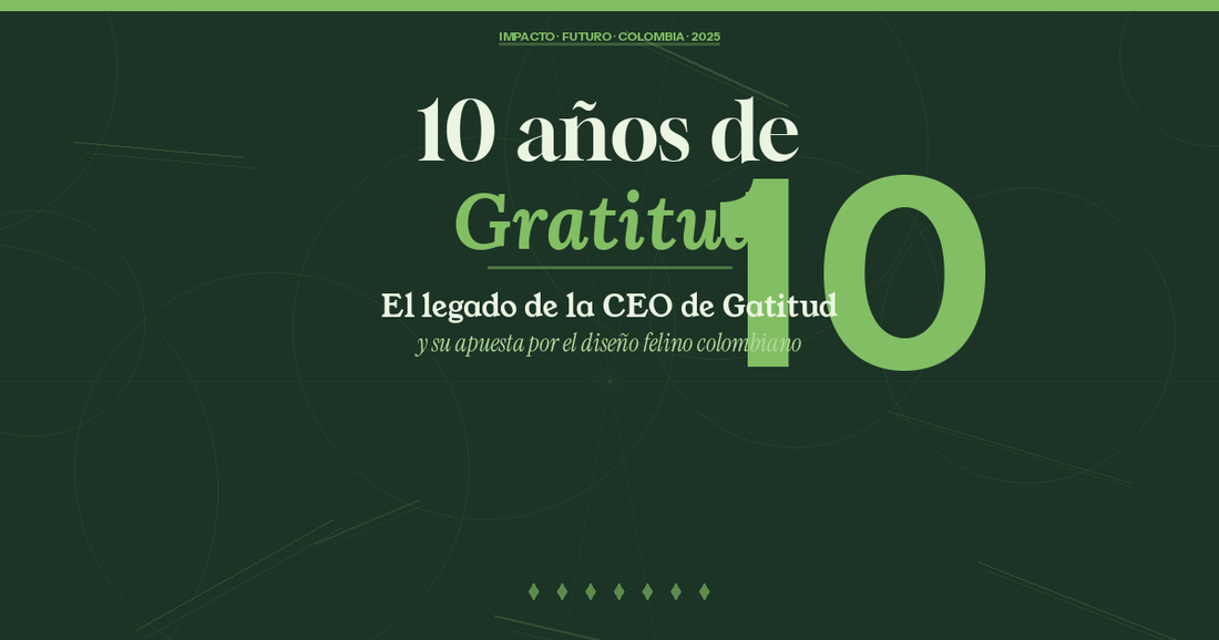 10 Años de Gratitud: El Legado del CEO de Gatitud y su Visión 2025