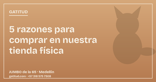 5 razones para comprar los muebles de tu gato en una tienda física en Medellín
