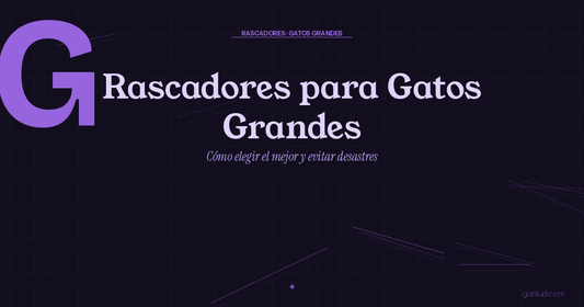 Rascadores para Gatos Grandes: Cómo Elegir el Mejor y Evitar Desastres