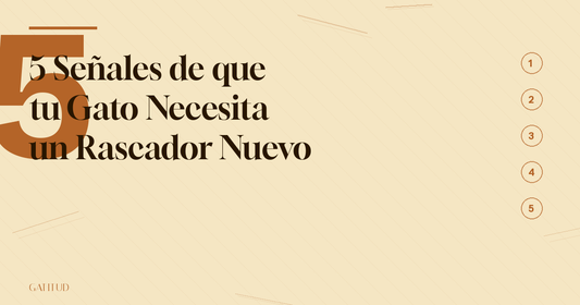 5 Señales de que tu Gato Necesita un Rascador Nuevo