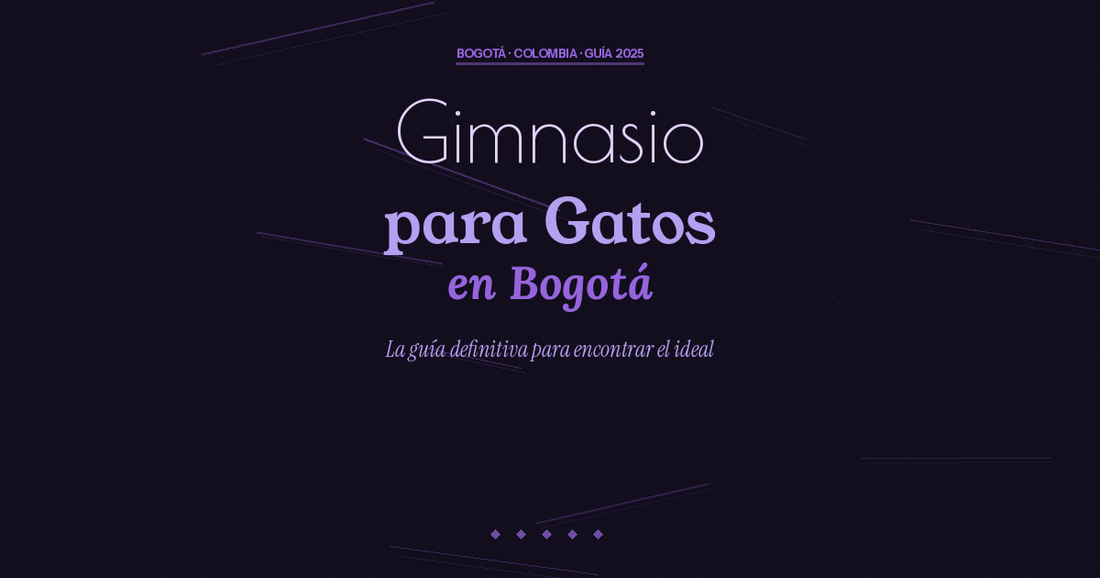 Gimnasio para Gatos en Bogotá: Guía Definitiva 2025