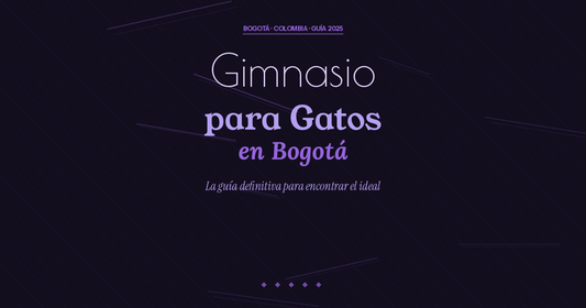 Gimnasio para Gatos en Bogotá: Guía Definitiva 2025
