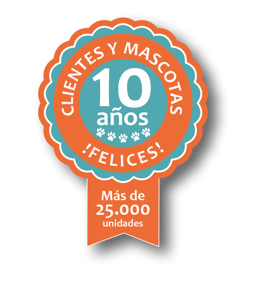 10 Años de Gratitud: Un Recorrido de Experiencia, Responsabilidad y Crecimiento
