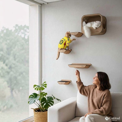 Gimnasio de pared Gatitud COMBO D en madera MDF con estantes y cueva para gatos, ideal para trepar y descansar.