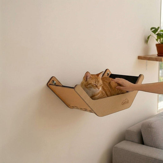 Gato atigrado durmiendo en una cama hamaca en forma de V de Gatitud Store instalada en una pared blanca