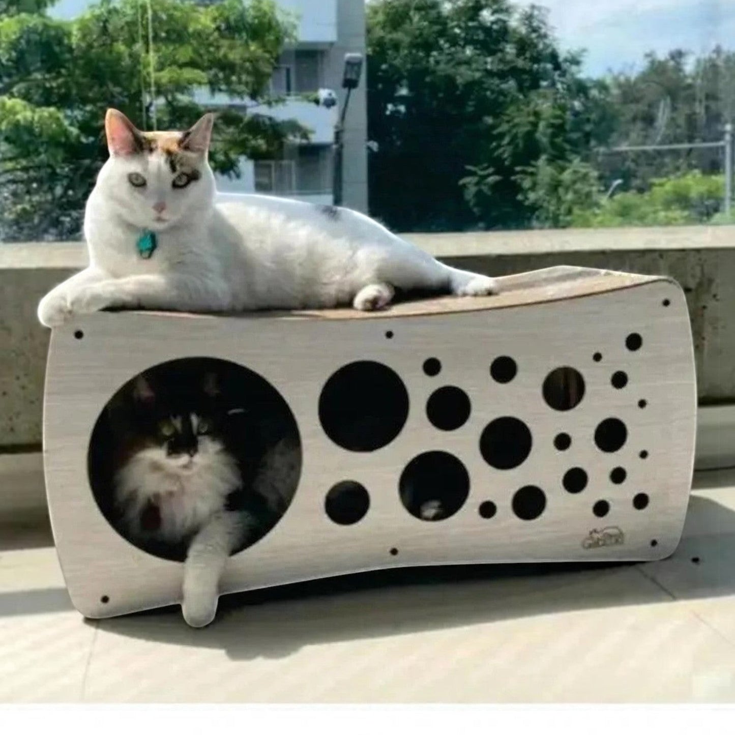 Rascador CUEVA para Gatos en Cartón — Múltiples Entradas Colombia — El Rascador CUEVA de Gatitud está dis… | Gatitud Colombia