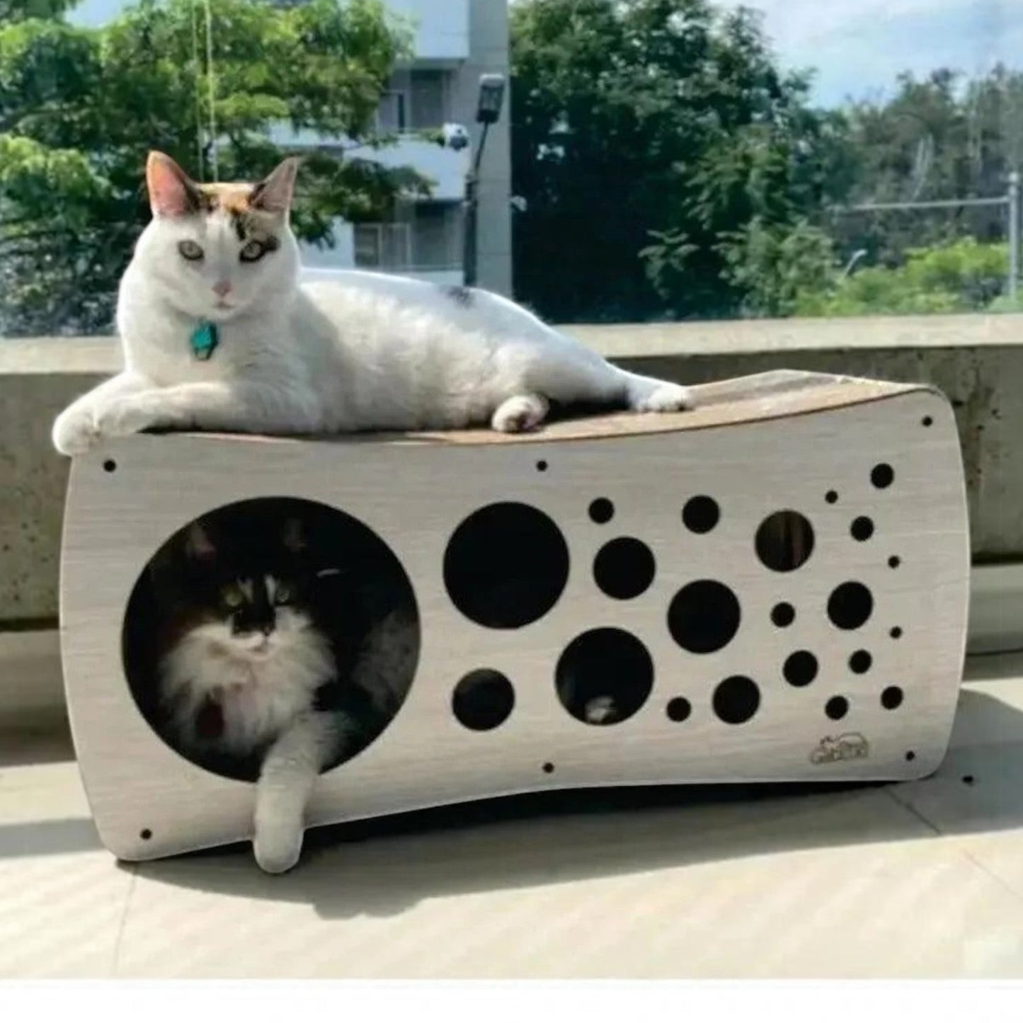 Rascador CUEVA para Gatos en Cartón — Múltiples Entradas Colombia — El Rascador CUEVA de Gatitud está dis… | Gatitud Colombia