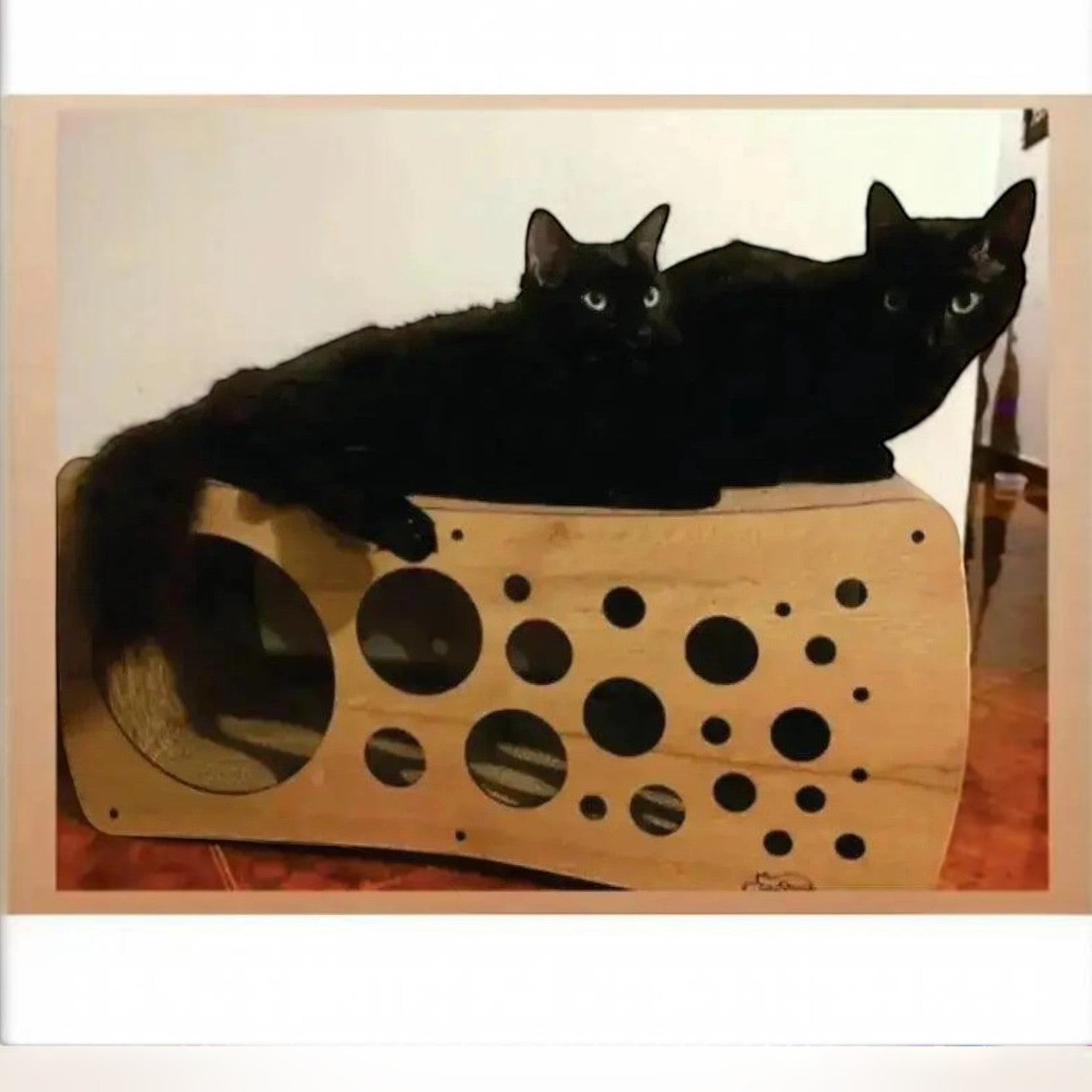 Rascador CUEVA para Gatos en Cartón — Múltiples Entradas Colombia — Añádelo al carrito y dale a tu gato s… | Gatitud Colombia