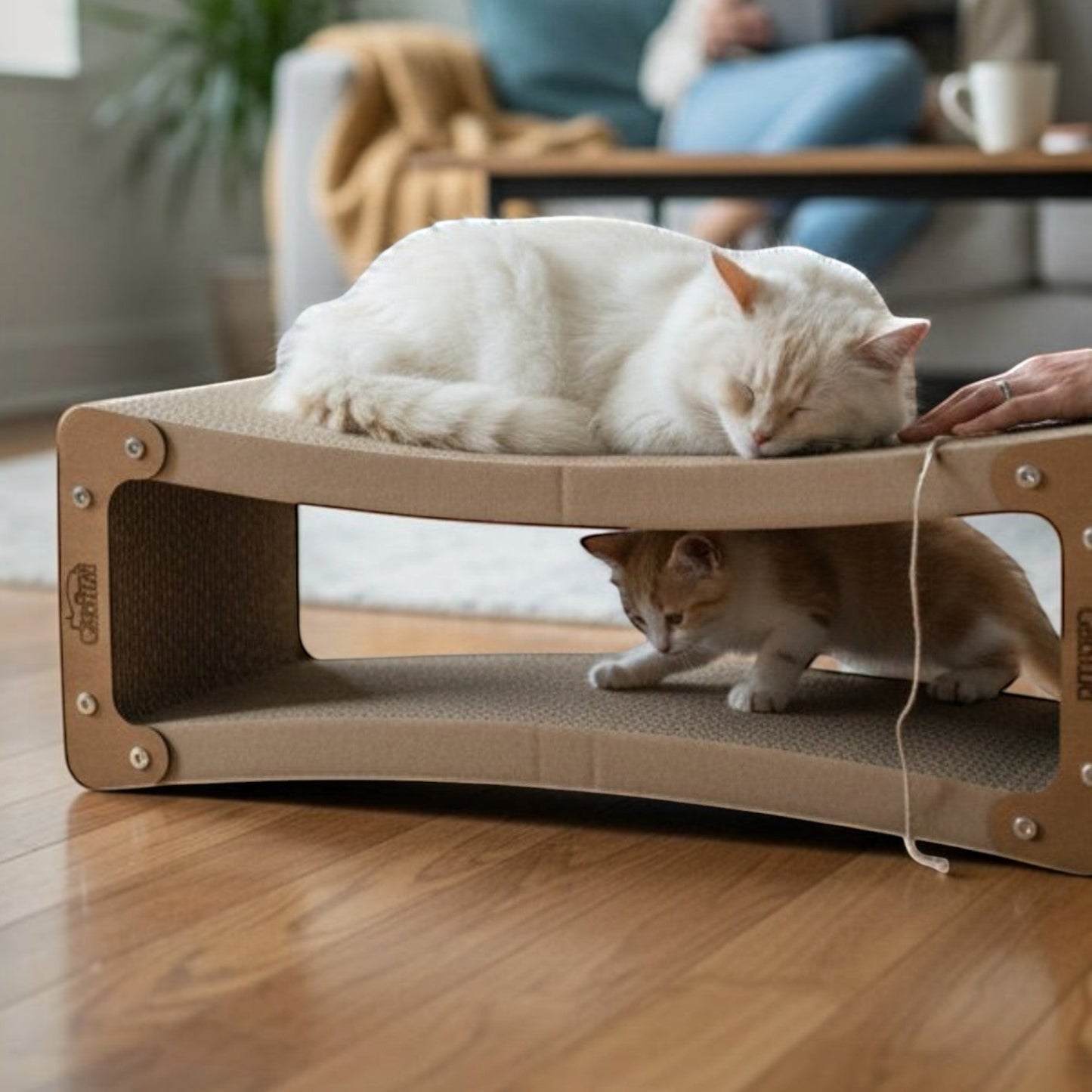 Rascador INFINITO para Gatos Grande — Cartón Corrugado Colombia — Uso doméstico — Cartón corrugado | Gatitud Colombia