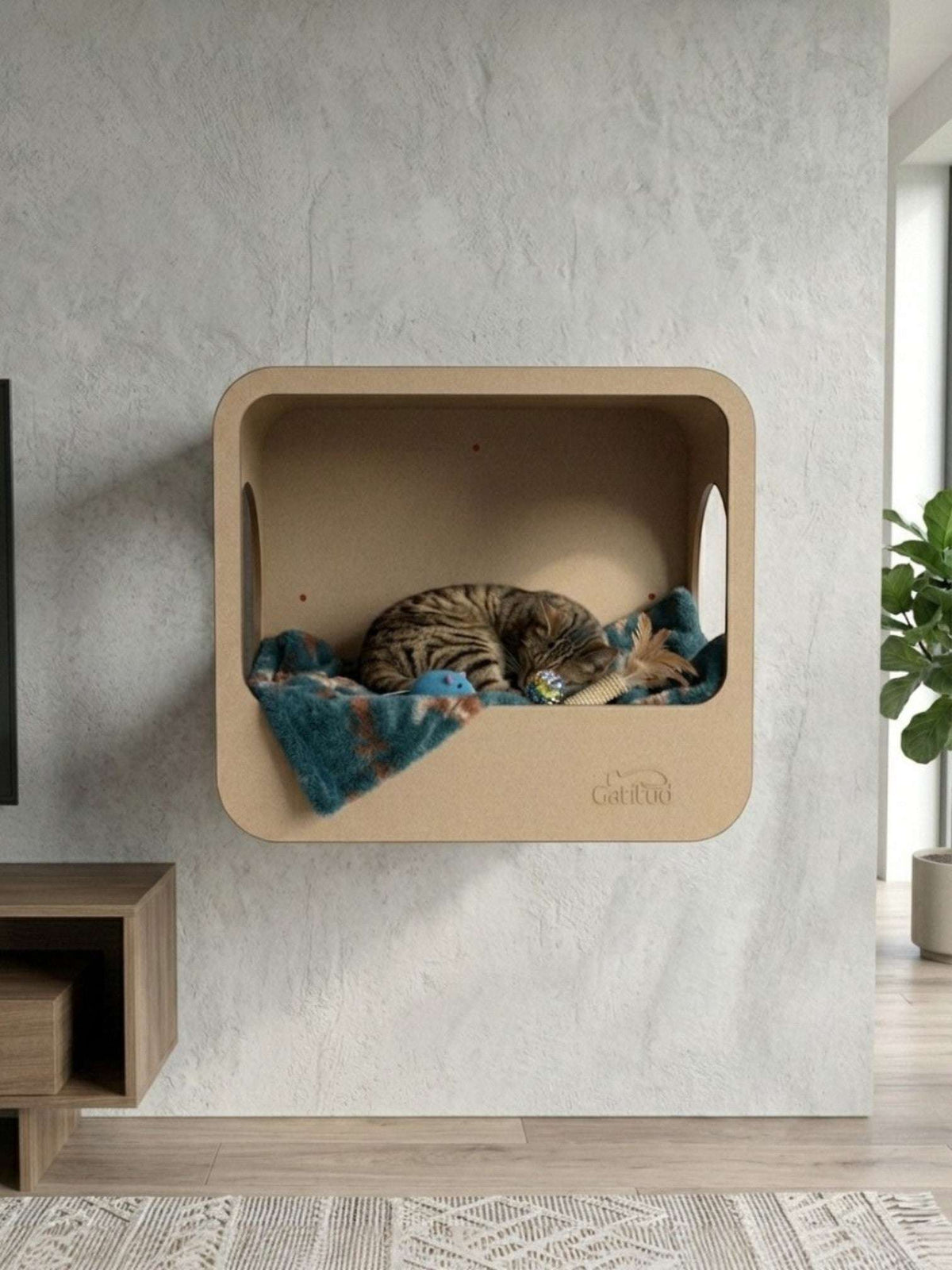 Gatitud Store modern beige cardboard wall perch with two circular openings, featuring a sleeping tabby cat on a teal blanket.