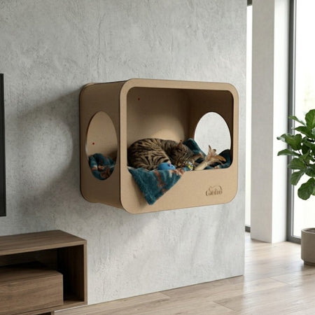 Gatitud Store modern rectangular cardboard cat wall perch with two circular openings, featuring a tabby cat sleeping on a blue blanket.