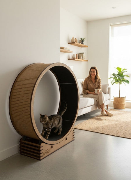 Gatitud Store large wooden cat exercise wheel with black running surface and a tabby cat inside.
