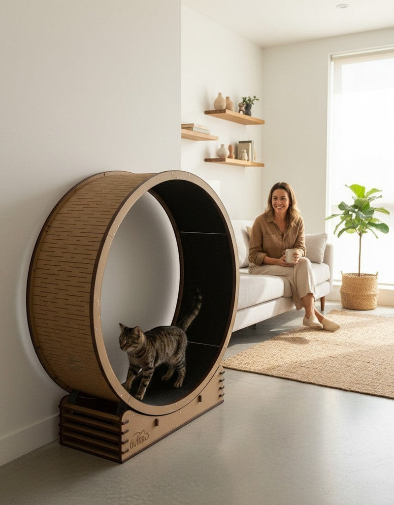 Gatitud Store large wooden cat exercise wheel with black running surface and a tabby cat inside.