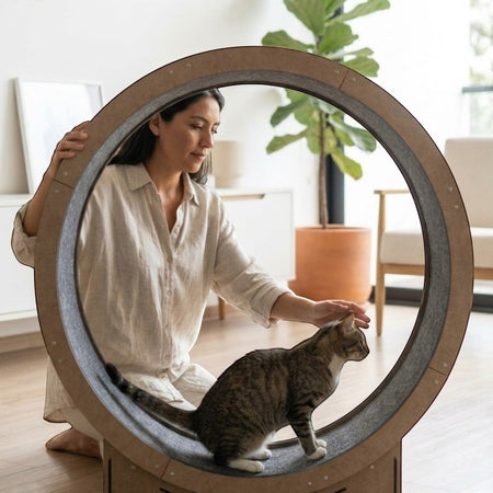 Gatitud Store reinforced cat exercise wheel, 80cm diameter, MDF wood with grey felt lining, for indoor cats.