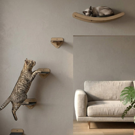 Gatitud Store wall-mounted cat gym with wooden steps and a curved bed, featuring a tabby cat climbing and a Siamese cat resting.