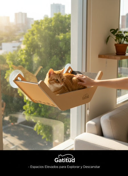 Gatitud Store V-shaped cat hammock made of MDF and cloth, beige with black cushion, mounts to wall or glass.