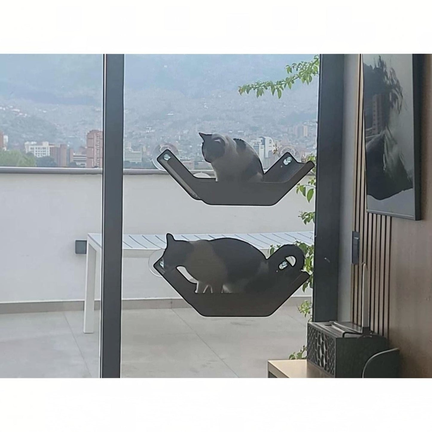 Cama V Hamaca para Gatos — Fijación a Pared o Vidrio — Hamaca | Gatitud Colombia