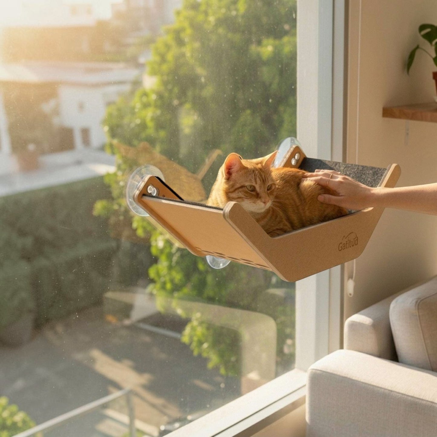 Cama V Hamaca para Gatos — Fijación a Pared o Vidrio — Madera | Gatitud Colombia
