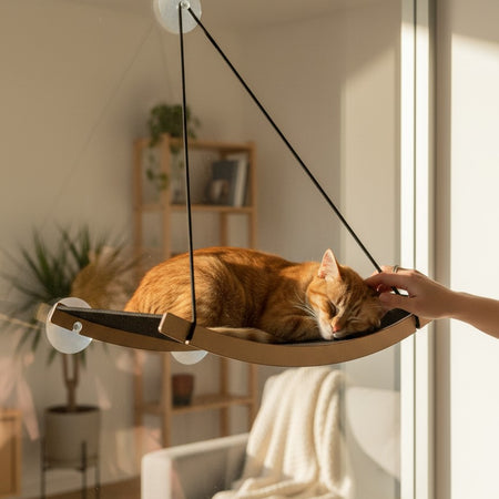 Gatitud Store medium cat hammock with black fabric surface and wood trim, attaches to window with suction cups.